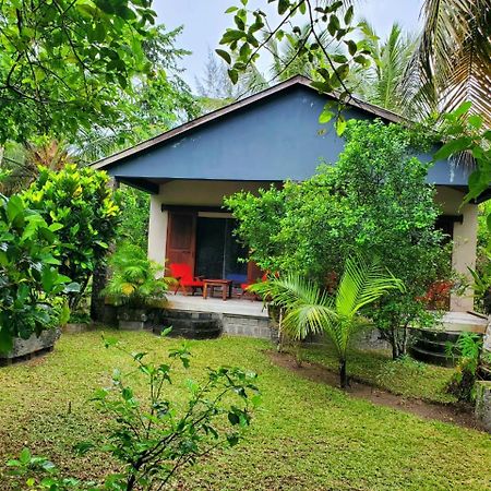 サント・マリー島 Les Citronniers Bed & Breakfast エクステリア 写真