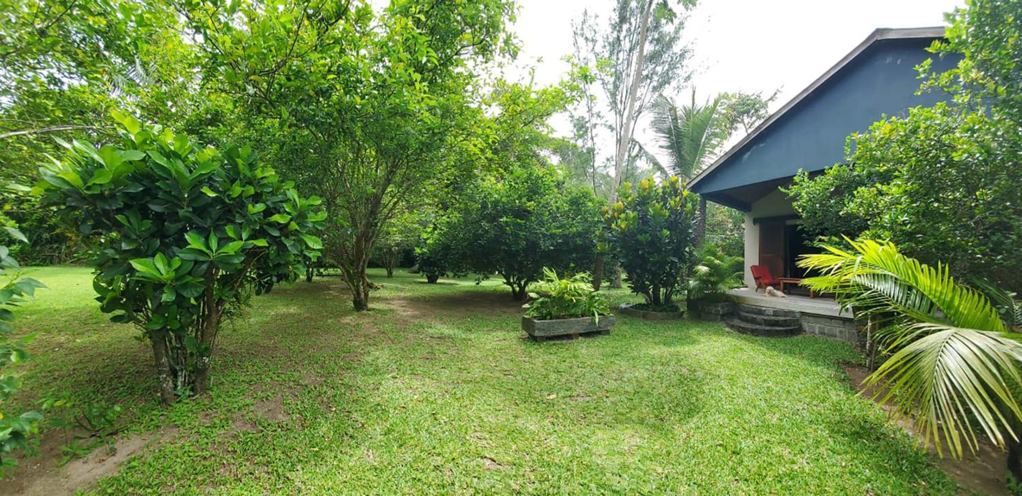 サント・マリー島 Les Citronniers Bed & Breakfast エクステリア 写真